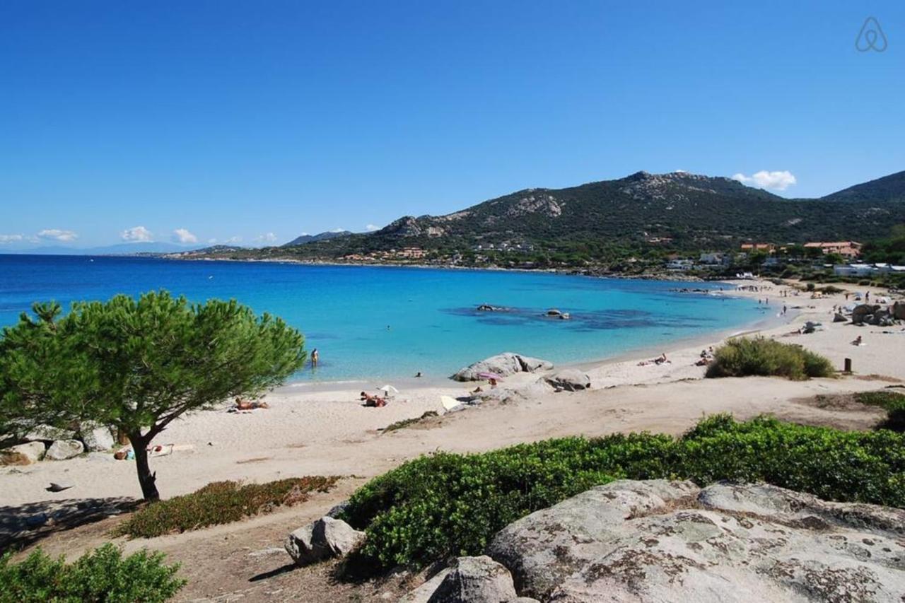 L'orangeraie Calvi centre à 300m de la plage et du port parking privé Exterior foto